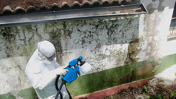 Trusted Mold Inspection service in Fairview, TX - Cheap Mold Removal